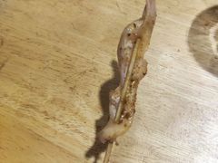 -龚海宝· 烧烤· 羊肉原切挂糊更好吃(庄市店)