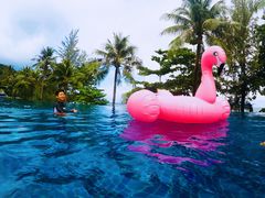 -普吉岛凯悦酒店