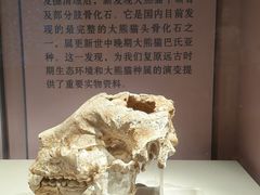 -咸宁市博物馆