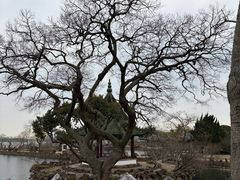 -无锡蠡湖国家湿地公园-蠡园