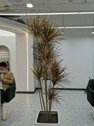 -FINE HAIR造型沙龙