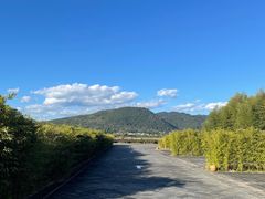 -和顺柏联温泉