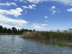 -野鸭湖国家湿地公园