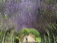 -同里国家湿地公园