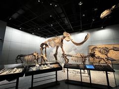 -浙江自然博物院(杭州馆)