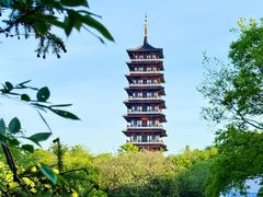 -宜兴龙背山森林公园