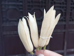 -拙政园