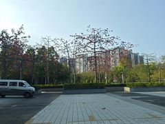 -顺德职业技术大学