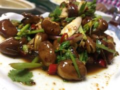 -山菌美食苑(振兴路店)