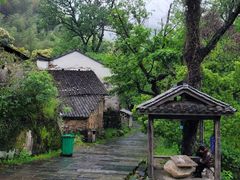 -石台牯牛降景区