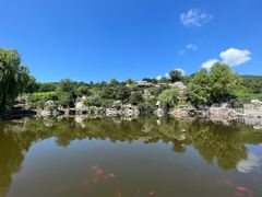 -北京西山国家森林公园