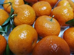 -小宝栗子(嘉华国际商业中心店)