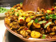 -老佛爷炭火蛙锅直营(清滨路总店)