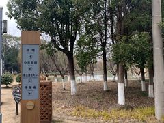 -九科绿洲