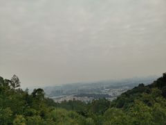 -火炉山森林公园