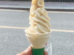-长洲岛