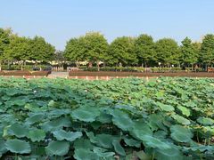 -南京信息职业技术学院