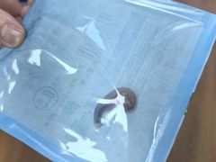 -北京观赏动物医院·24小时大型综合·猫专科·异宠专科