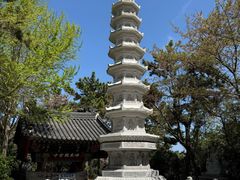 -海东龙宫寺