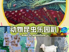 -上海大自然野生昆虫馆