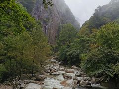 -青峰峡国家森林公园