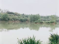 -白鹭湾湿地公园
