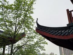 -堤角公园