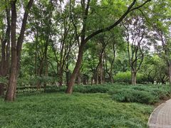 -玲珑塔公园