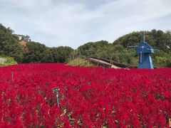 -广州市流溪河国家森林公园
