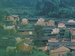 -杨家堂村