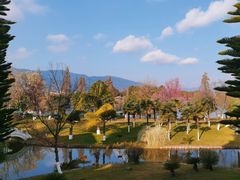 -云南滇池花园国际大酒店温泉