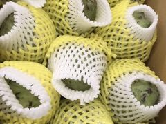 -上海龙吴水胜海发市场