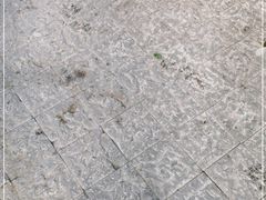 -蔼若春.传承三十年云南菜(金碧公园店)