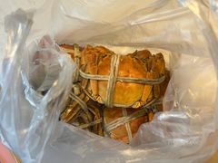 -杨氏青龙虾·羊蝎子(托乐嘉店)