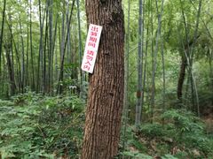 -南山风景名胜区