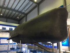 -上海海洋大学鱼文化博物馆(军工路校区)