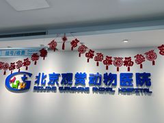 -北京观赏动物医院·24小时大型综合·猫专科·异宠专科