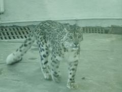 -青藏高原野生动物园