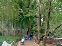 -婺源月亮湾