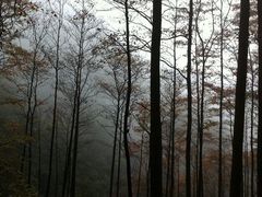 景点-藏龙百瀑风景区
