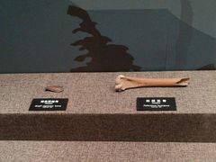 -河姆渡遗址博物馆