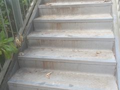 -亚马逊丛林水乐园