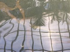 游乐设施-龙达温泉生态城