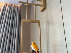 -北京北辰洲际酒店