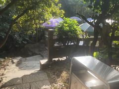 -水濂山森林公园