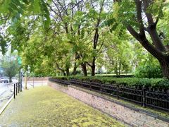 -维乐口腔医院(福清院)