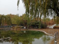 -康庄公园