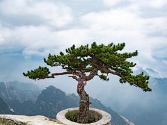 -华山风景名胜区