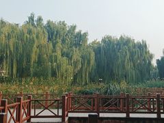 -丰台科技园生态主题公园