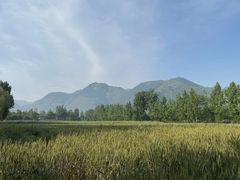 -秦岭风景区